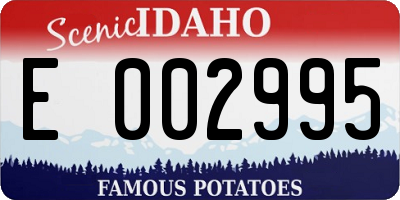 ID license plate E002995