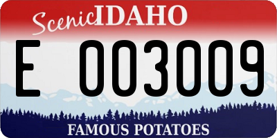 ID license plate E003009