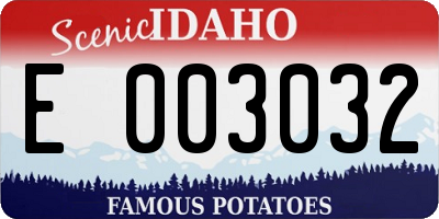 ID license plate E003032