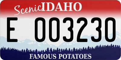 ID license plate E003230