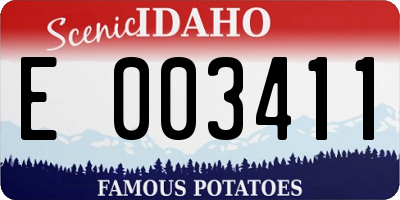 ID license plate E003411