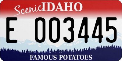 ID license plate E003445