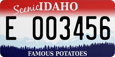 ID license plate E003456