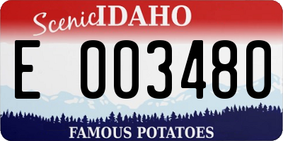 ID license plate E003480