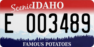 ID license plate E003489