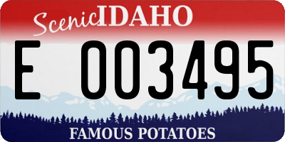 ID license plate E003495