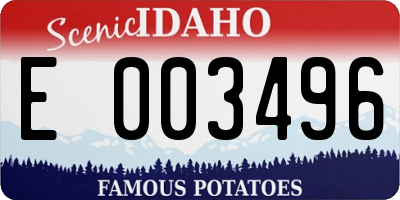 ID license plate E003496