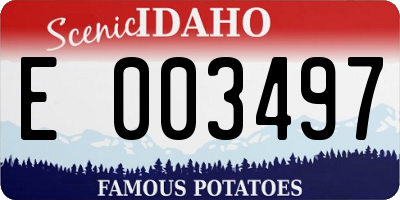 ID license plate E003497