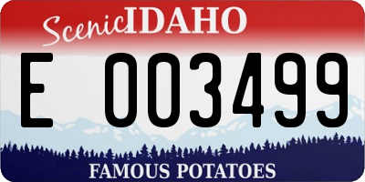 ID license plate E003499