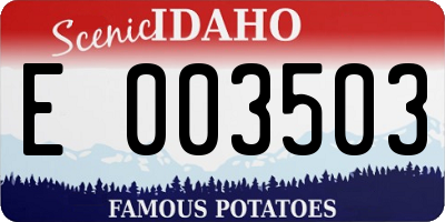 ID license plate E003503