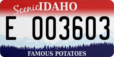 ID license plate E003603