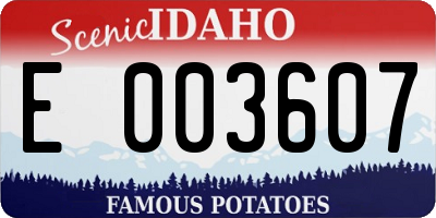 ID license plate E003607