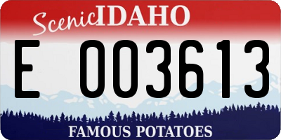 ID license plate E003613