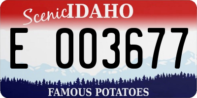 ID license plate E003677