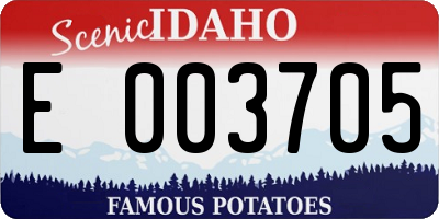 ID license plate E003705