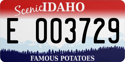 ID license plate E003729
