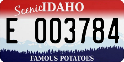 ID license plate E003784