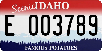 ID license plate E003789