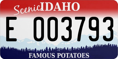 ID license plate E003793