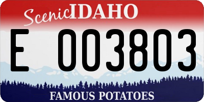 ID license plate E003803