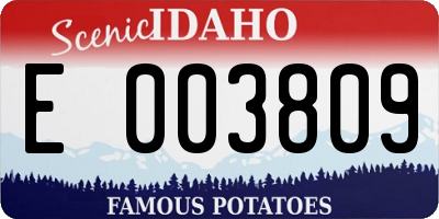 ID license plate E003809