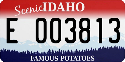 ID license plate E003813