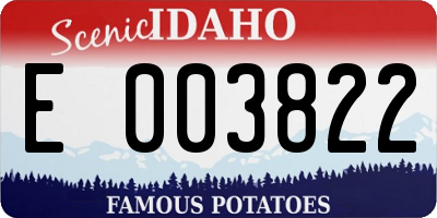 ID license plate E003822