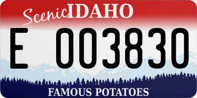 ID license plate E003830