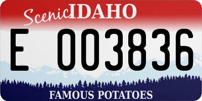 ID license plate E003836