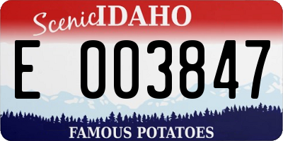 ID license plate E003847