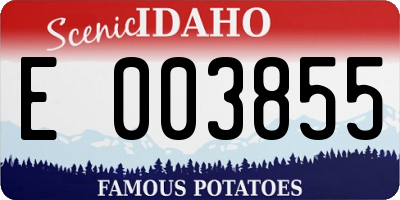 ID license plate E003855