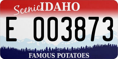 ID license plate E003873