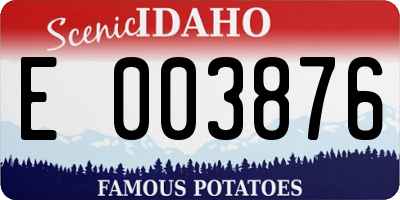 ID license plate E003876