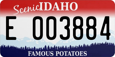 ID license plate E003884