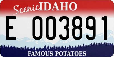 ID license plate E003891