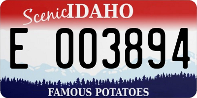 ID license plate E003894