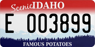 ID license plate E003899