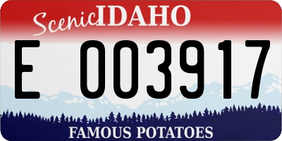 ID license plate E003917