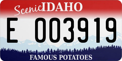 ID license plate E003919