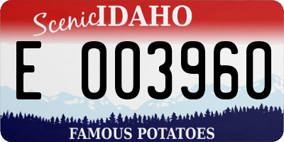 ID license plate E003960