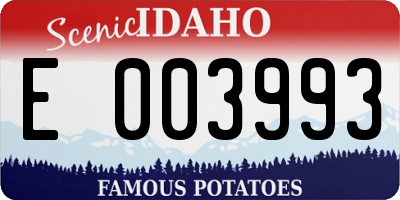 ID license plate E003993