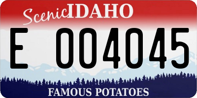 ID license plate E004045