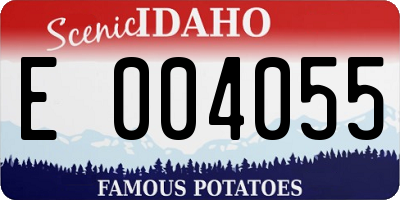 ID license plate E004055