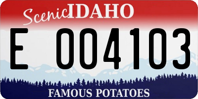 ID license plate E004103