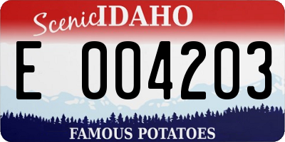 ID license plate E004203