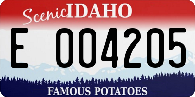 ID license plate E004205