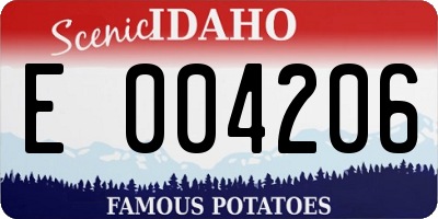 ID license plate E004206