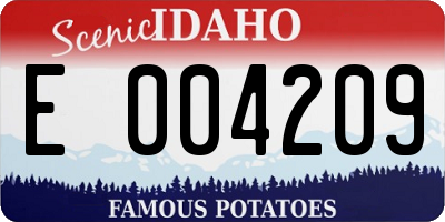 ID license plate E004209