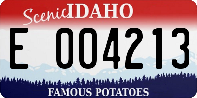 ID license plate E004213