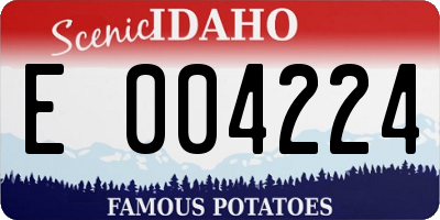 ID license plate E004224